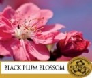 Black Plum Blossom Duftvoks. thumbnail
