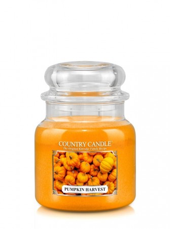 Pumpkin Harvest MERK: Medium Krukke