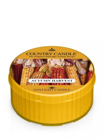 Autumn Harvest Stort Telys