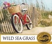 Wild Sea Grass