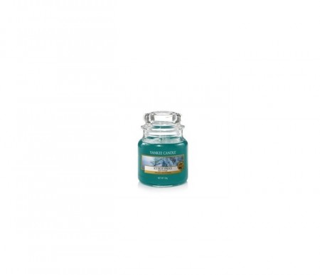 Icy Blue Spruce liten krukke