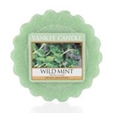 Wild Mint